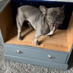 farba na exteriér a nábytok - tmavá šedá greyhound frenchic