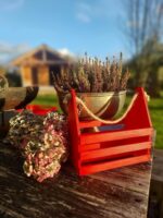 červená kriedová farba hot lips frenchic